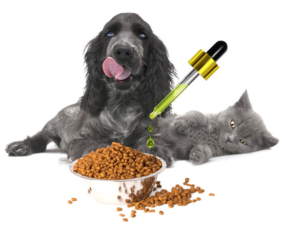 How is GOLDENGREEN CBD hemp oil used for animals?